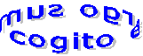  cogito ergo sum